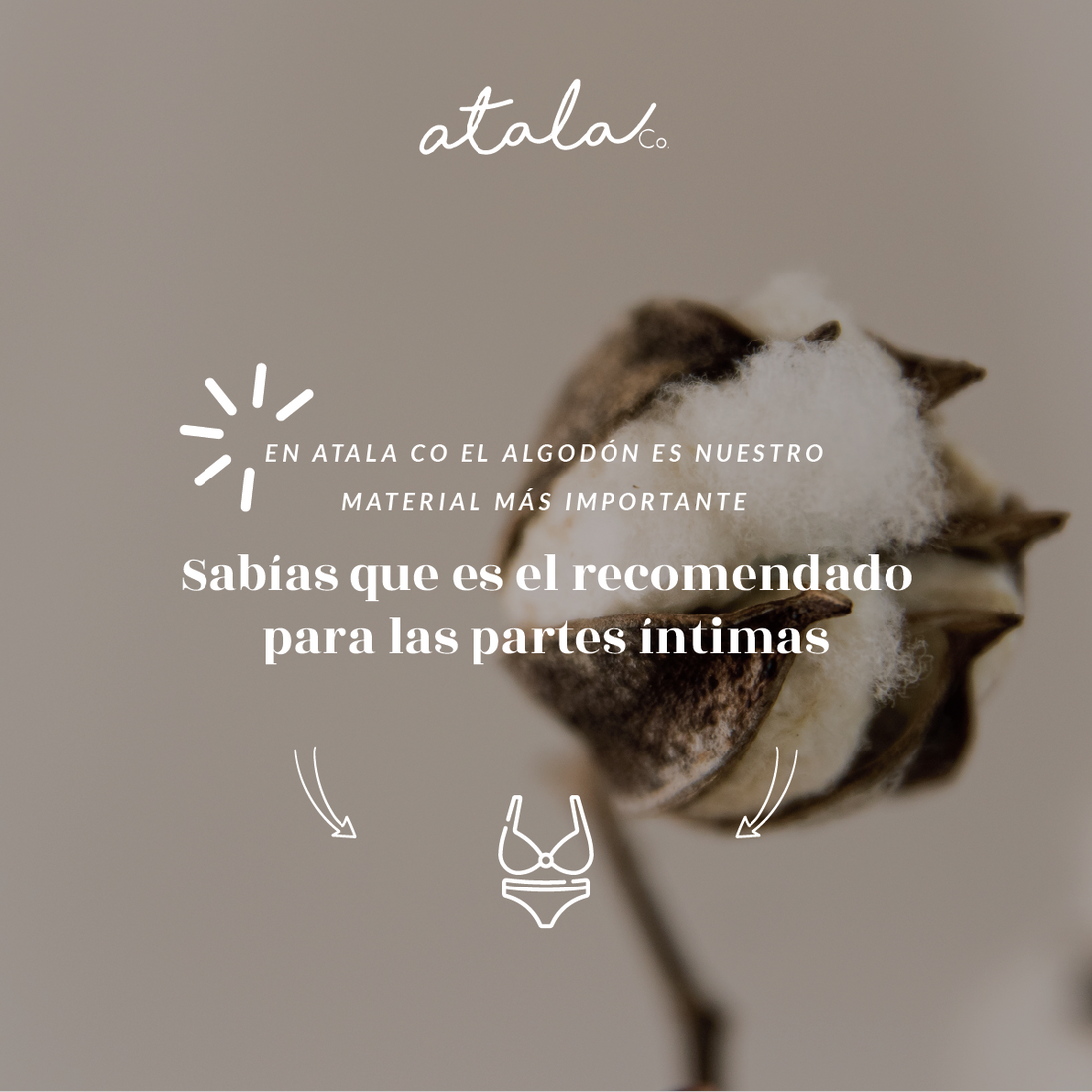 El algodón es el mejor material para tus partes íntimas